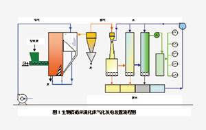 生物质气化和碳化Biocabon