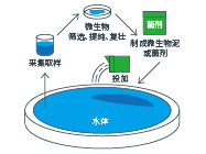 Bioblue
